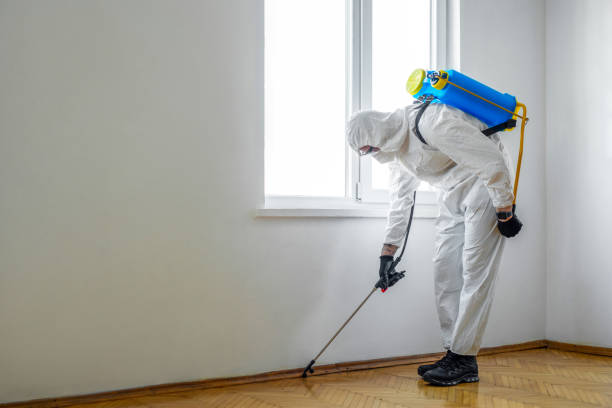 Best Local Pest Control Services  in Roslyn Heights, NY