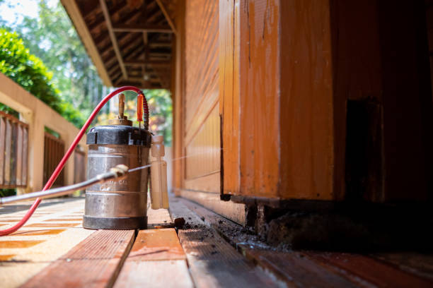 Best Wasp Removal Services  in Roslyn Heights, NY