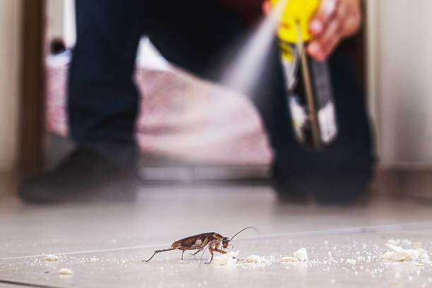 Best Mosquito Control Services  in Roslyn Heights, NY