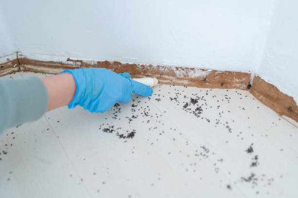 Best Exterminator Services  in Roslyn Heights, NY